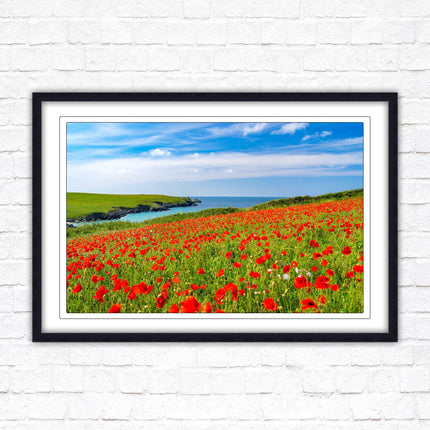 Poppies near PollyJoke beach, Cornwall. Framed picture print with choice of frame colours