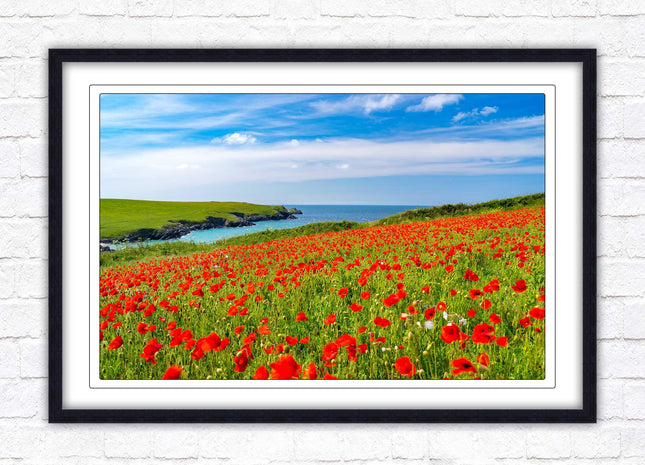 Poppies near PollyJoke beach, Cornwall. Framed picture print with choice of frame colours