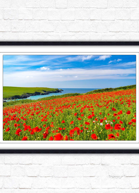 Poppies near PollyJoke beach, Cornwall. Framed picture print with choice of frame colours