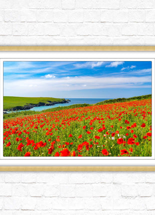 Poppies near PollyJoke beach, Cornwall. Framed picture print with choice of frame colours