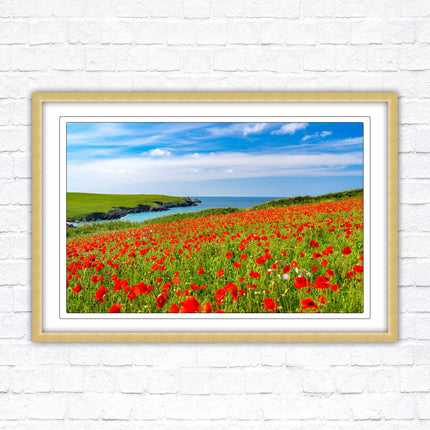 Poppies near PollyJoke beach, Cornwall. Framed picture print with choice of frame colours