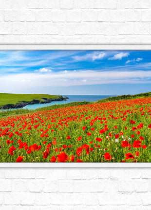 Poppies near PollyJoke beach, Cornwall. Framed picture print with choice of frame colours