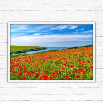 Poppies near PollyJoke beach, Cornwall. Framed picture print with choice of frame colours