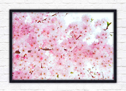 Pink blossom in bloom. Framed floral picture with choice of frame colours
