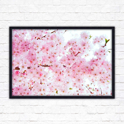 Pink blossom in bloom. Framed floral picture with choice of frame colours