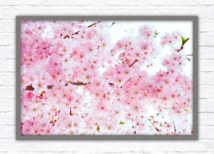 Pink blossom in bloom. Framed floral picture with choice of frame colours