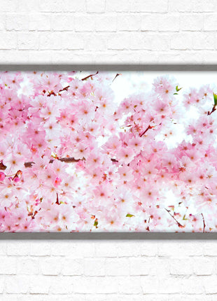 Pink blossom in bloom. Framed floral picture with choice of frame colours