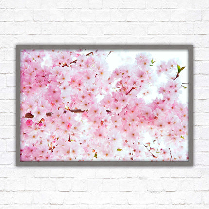 Pink blossom in bloom. Framed floral picture with choice of frame colours