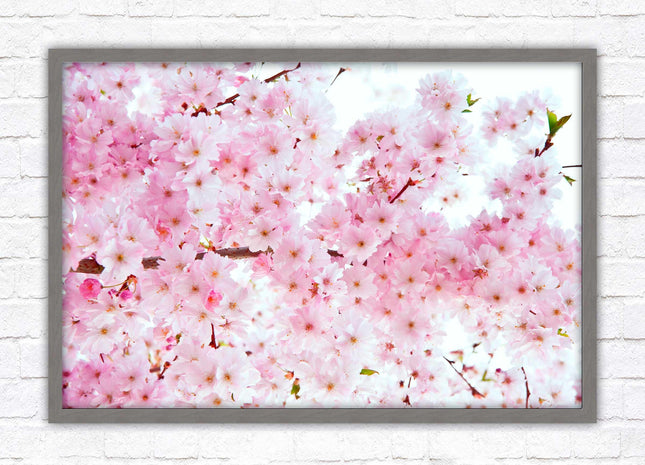 Pink blossom in bloom. Framed floral picture with choice of frame colours