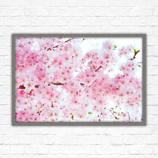Pink blossom in bloom. Framed floral picture with choice of frame colours