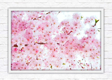 Pink blossom in bloom. Framed floral picture with choice of frame colours