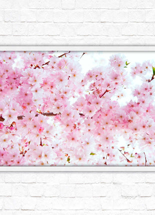 Pink blossom in bloom. Framed floral picture with choice of frame colours