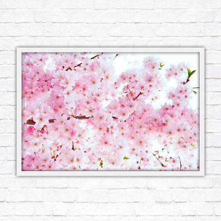 Pink blossom in bloom. Framed floral picture with choice of frame colours