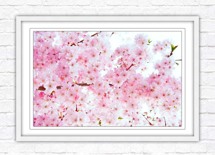 Pink blossom in bloom. Framed floral picture with choice of frame colours