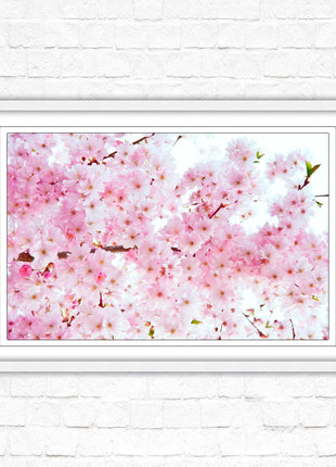 Pink blossom in bloom. Framed floral picture with choice of frame colours