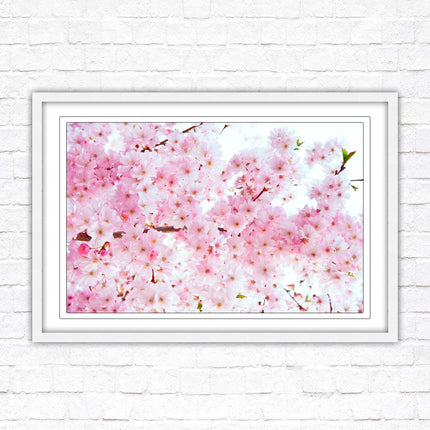 Pink blossom in bloom. Framed floral picture with choice of frame colours