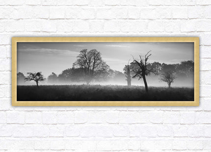 Countryside scenery of a Misty Forest in black and white. Framed picture in a choice of frame colours.