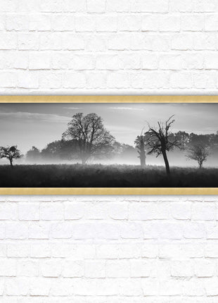 Countryside scenery of a Misty Forest in black and white. Framed picture in a choice of frame colours.