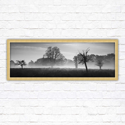 Countryside scenery of a Misty Forest in black and white. Framed picture in a choice of frame colours.