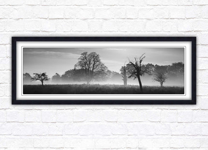 Countryside scenery of a Misty Forest in black and white. Framed picture in a choice of frame colours.