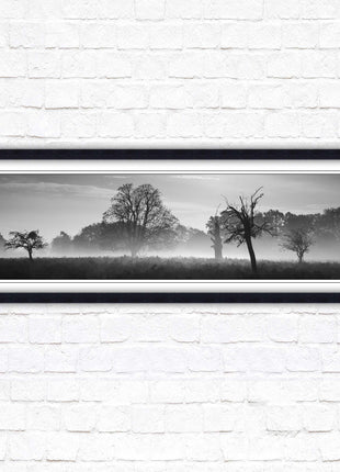 Countryside scenery of a Misty Forest in black and white. Framed picture in a choice of frame colours.