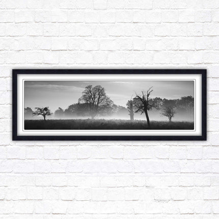 Countryside scenery of a Misty Forest in black and white. Framed picture in a choice of frame colours.