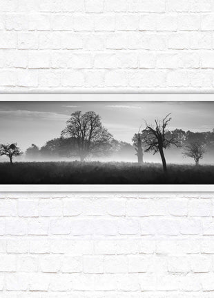 Countryside scenery of a Misty Forest in black and white. Framed picture in a choice of frame colours.
