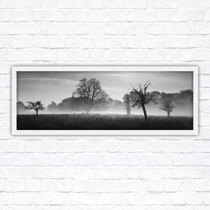 Countryside scenery of a Misty Forest in black and white. Framed picture in a choice of frame colours.
