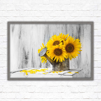 Sunflowers printed in frame rustic watering can. Framed picture with choice of frame colours frame included