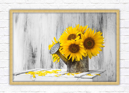 Sunflowers printed in frame rustic watering can. Framed picture with choice of frame colours frame included