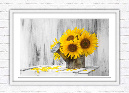 Sunflowers printed in frame rustic watering can. Framed picture with choice of frame colours frame included