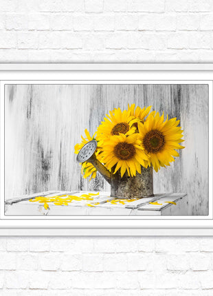 Sunflowers printed in frame rustic watering can. Framed picture with choice of frame colours frame included
