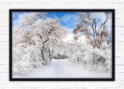 beautiful snow trees sunnry day winter scene. Framed picture with choice of frame colours