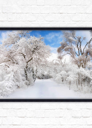 beautiful snow trees sunnry day winter scene. Framed picture with choice of frame colours