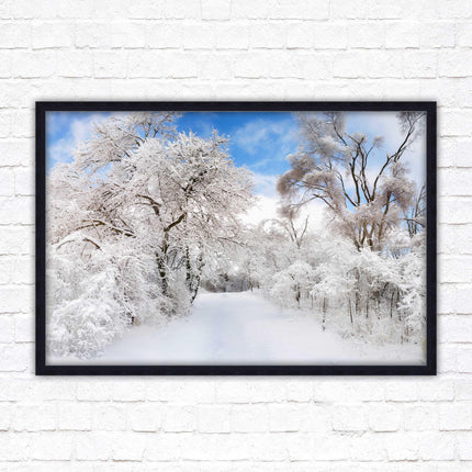 beautiful snow trees sunnry day winter scene. Framed picture with choice of frame colours