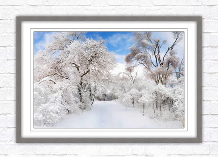 beautiful snow trees sunnry day winter scene. Framed picture with choice of frame colours