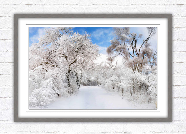 beautiful snow trees sunnry day winter scene. Framed picture with choice of frame colours