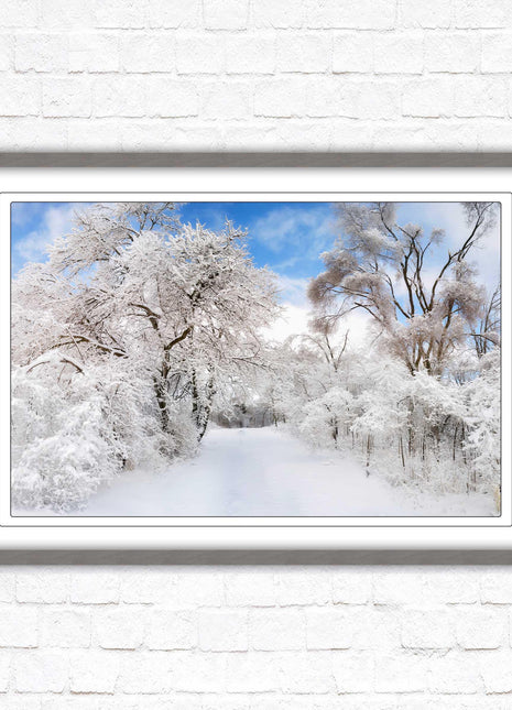 beautiful snow trees sunnry day winter scene. Framed picture with choice of frame colours