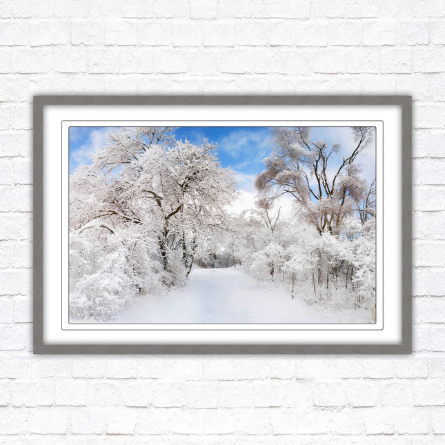 beautiful snow trees sunnry day winter scene. Framed picture with choice of frame colours