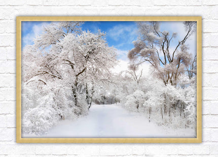 beautiful snow trees sunnry day winter scene. Framed picture with choice of frame colours
