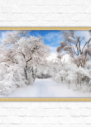 beautiful snow trees sunnry day winter scene. Framed picture with choice of frame colours