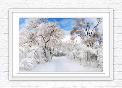 beautiful snow trees sunnry day winter scene. Framed picture with choice of frame colours