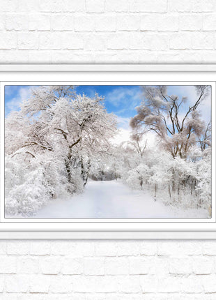 beautiful snow trees sunnry day winter scene. Framed picture with choice of frame colours