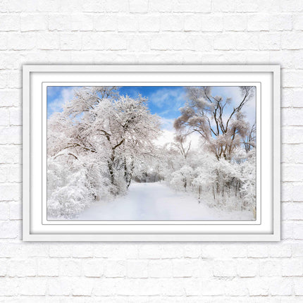 beautiful snow trees sunnry day winter scene. Framed picture with choice of frame colours