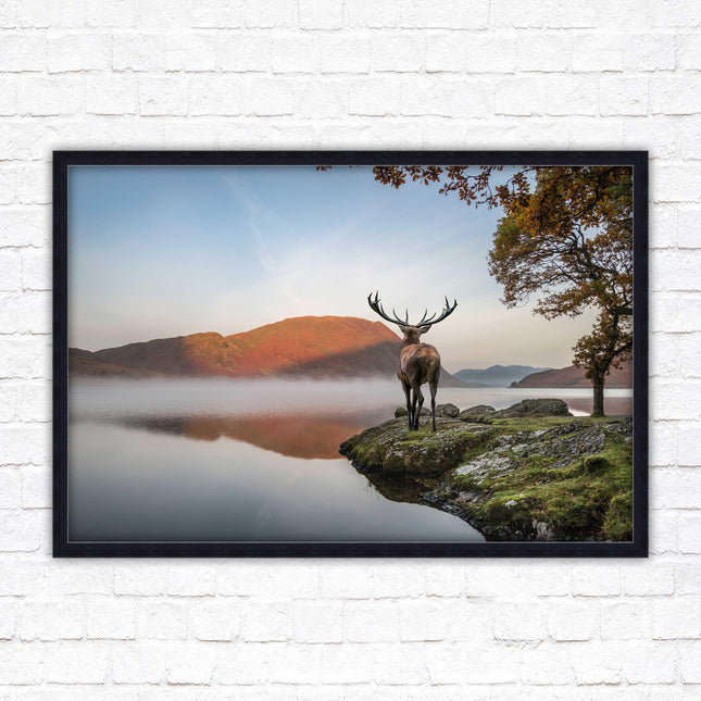 Stag by the lake. Framed picture with choice of frame colours and options.