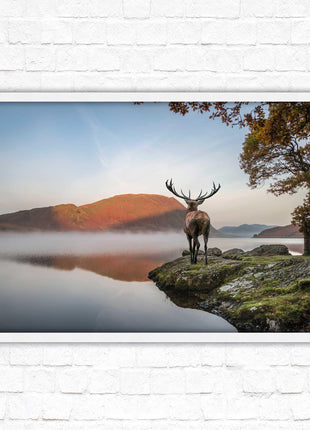 Stag by the lake. Framed picture with choice of frame colours and options.