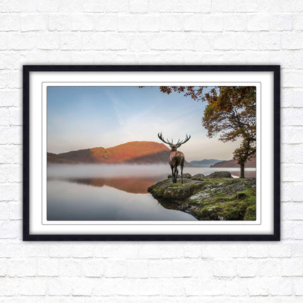Stag by the lake. Framed picture with choice of frame colours and options.