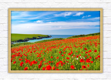 Poppies near PollyJoke beach, Cornwall. Framed picture print with choice of frame colours