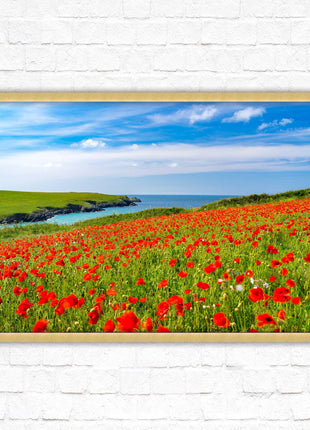 Poppies near PollyJoke beach, Cornwall. Framed picture print with choice of frame colours