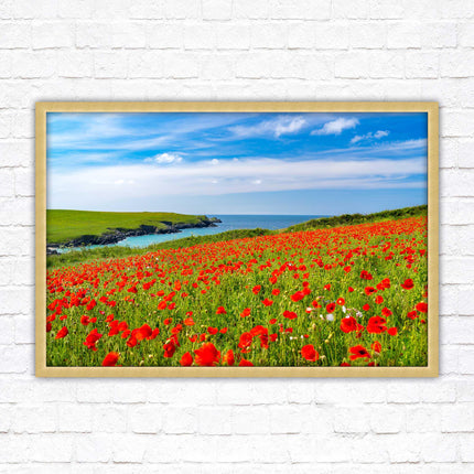 Poppies near PollyJoke beach, Cornwall. Framed picture print with choice of frame colours
